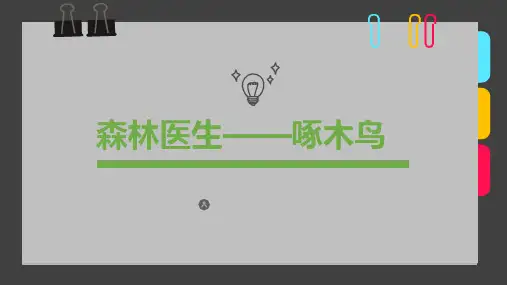 2024年《森林医生——啄木鸟》-美术课件