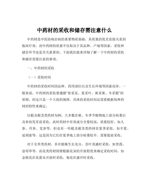 中药材的采收和储存需注意什么