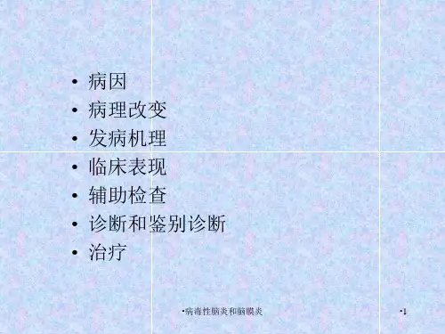 病毒性脑炎和脑膜炎课件