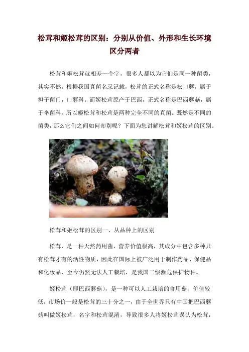 松茸和姬松茸的区别：分别从价值、外形和生长环境区分两者