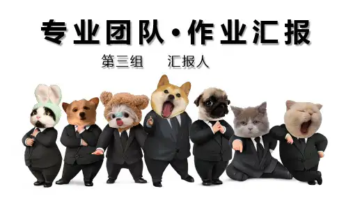 小组作业汇报ppt