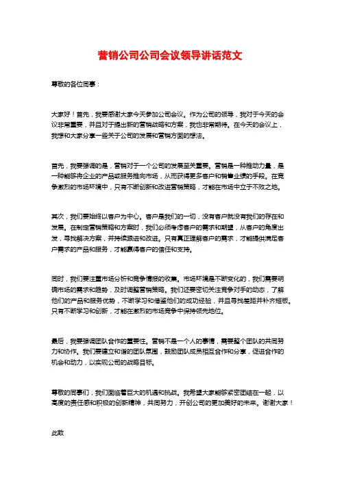营销公司公司会议领导讲话范文