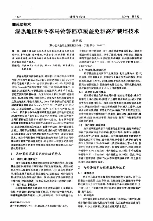 湿热地区秋冬季马铃薯稻草覆盖免耕高产栽培技术