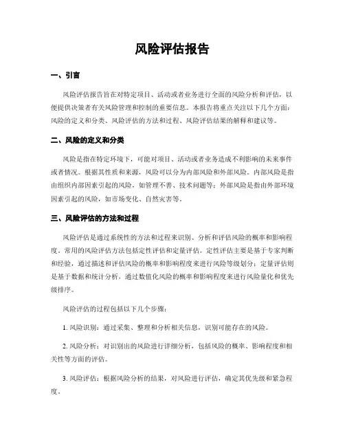 风险评估报告