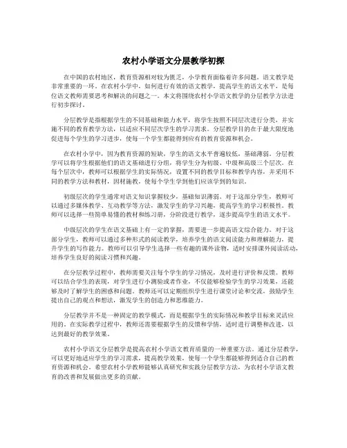 农村小学语文分层教学初探
