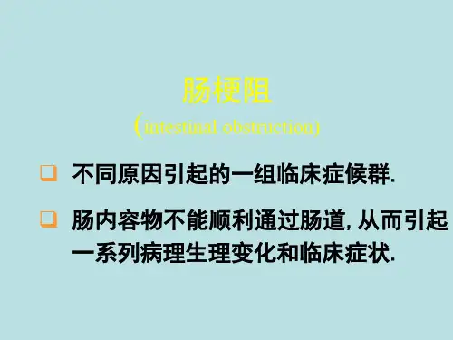 肠梗阻病理知识PPT课件
