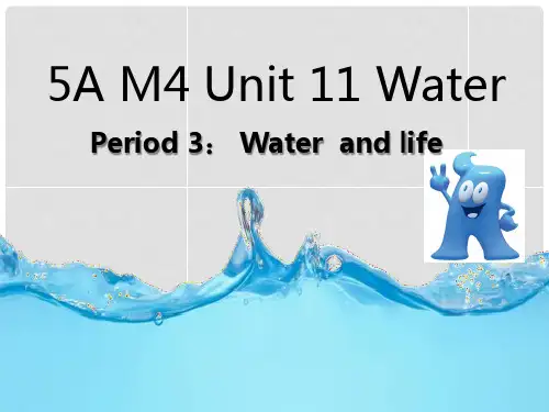 五年级英语上册 Unit 11 Water(第1课时)课件 牛津上海