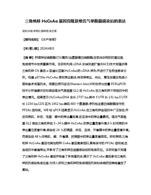三角帆蚌HcCnAα基因克隆及维氏气单胞菌感染后的表达