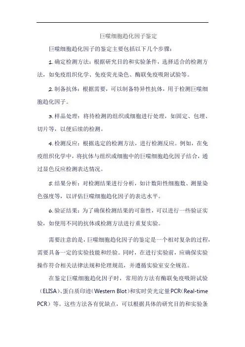 巨噬细胞趋化因子鉴定