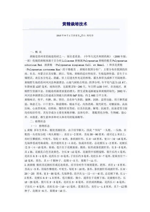 黄精