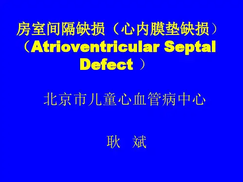 房室间隔缺损 心内膜垫耿斌安贞精品PPT课件