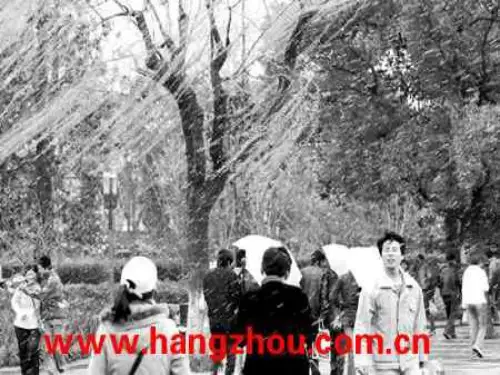 (完整)中图版高中地理必修一《寒潮》授课课件精品PPT资料精品PPT资料
