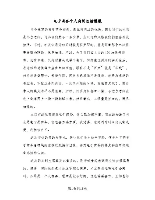 电子商务个人实训总结模板(6篇)