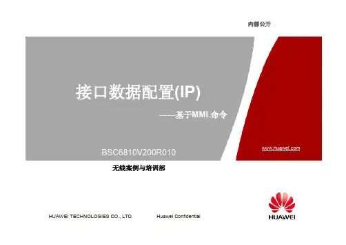 数据配置---接口数据配置(IP)