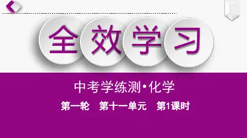 第11单元 第1课时 常见的盐