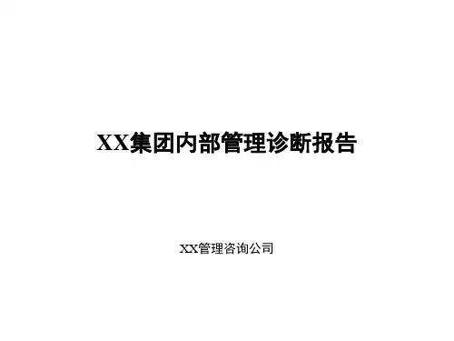 集团诊断分析报告中文ppt