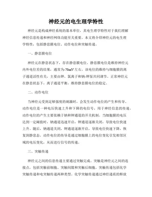 神经元的电生理学特性