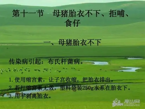 2454115734分享 母猪拒哺、食仔、胎衣不下