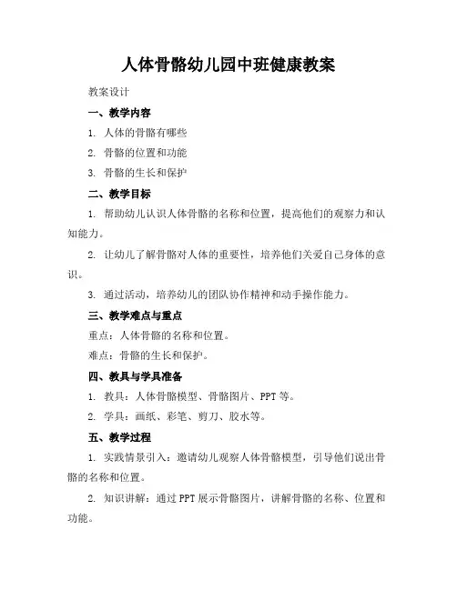 人体骨骼幼儿园中班健康教案