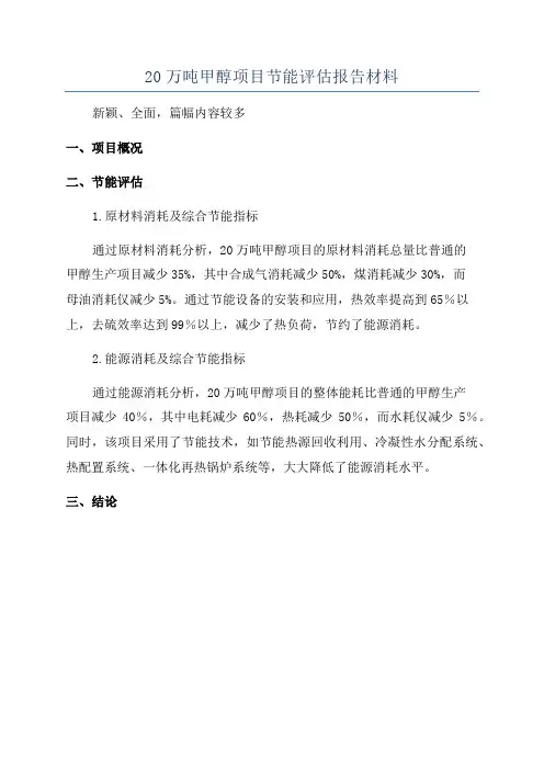 20万吨甲醇项目节能评估报告材料