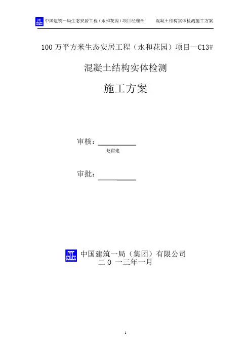 (中建一局)C13实体检测方案