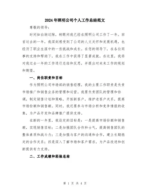 2024年照明公司个人工作总结范文