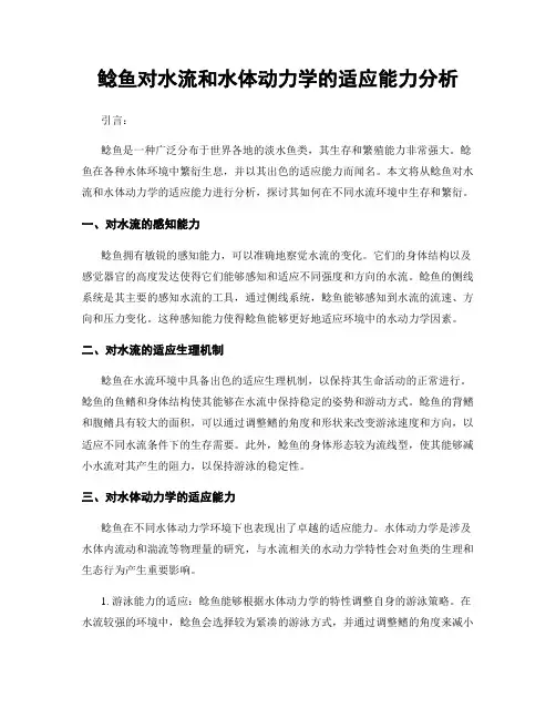 鲶鱼对水流和水体动力学的适应能力分析