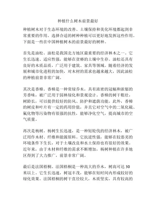 种植什么树木前景最好