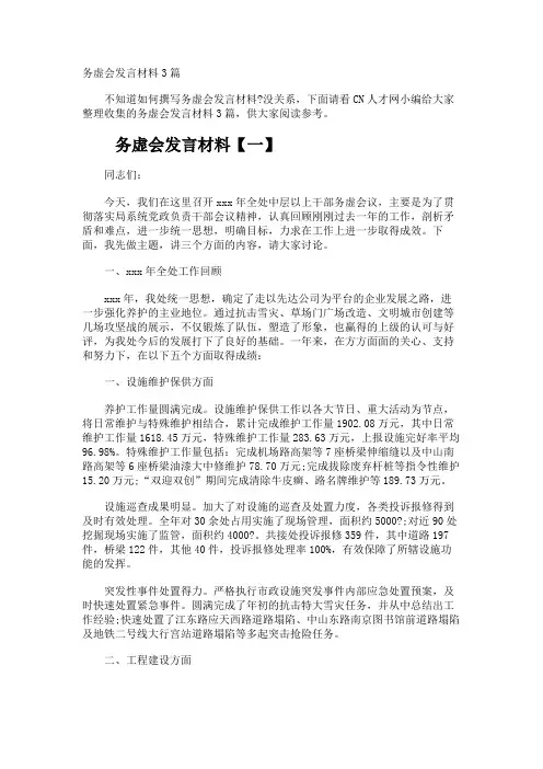 务虚会发言材料