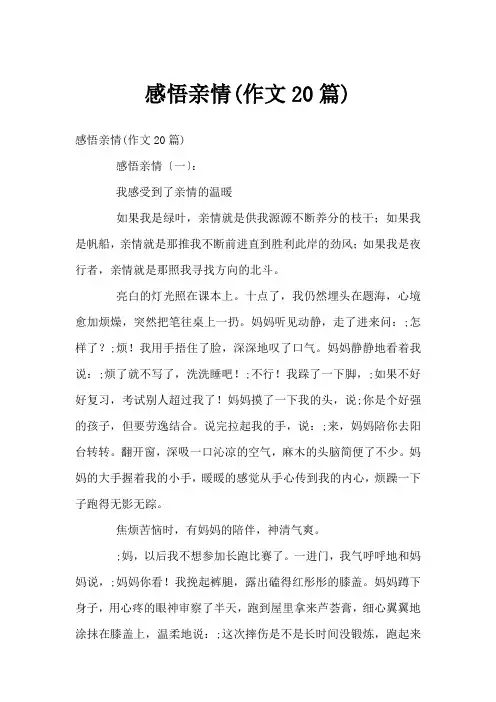 感悟亲情(作文20篇)