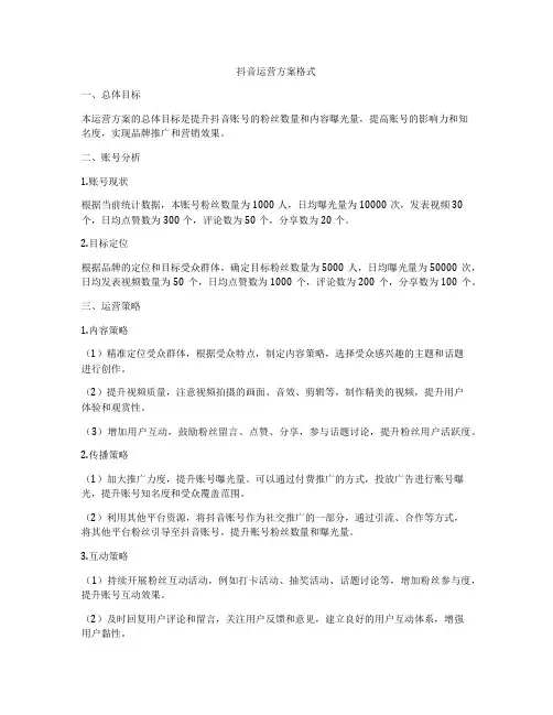 抖音运营方案格式