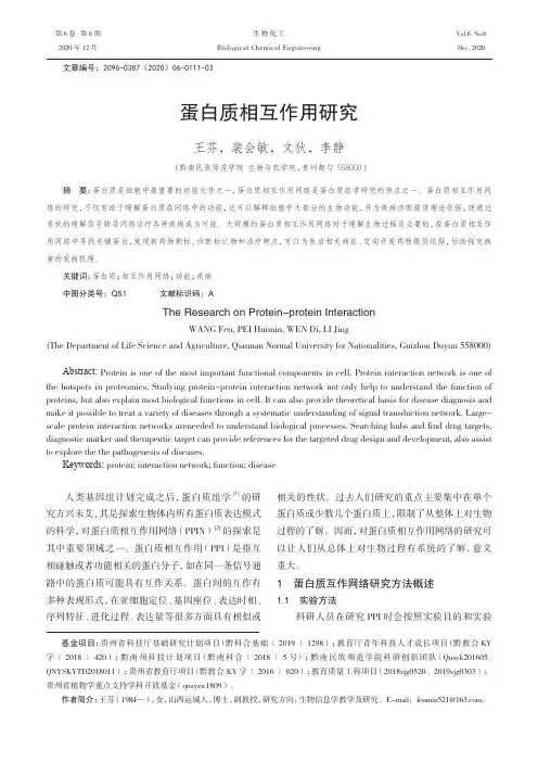 蛋白质相互作用研究