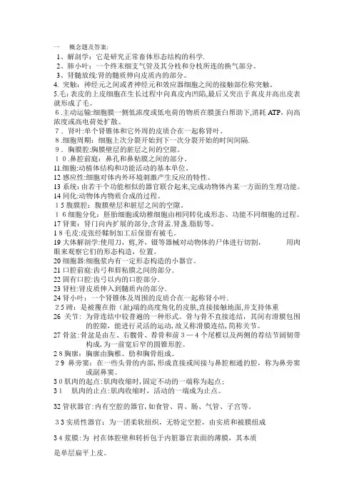 自-1解剖学：思考题文档 