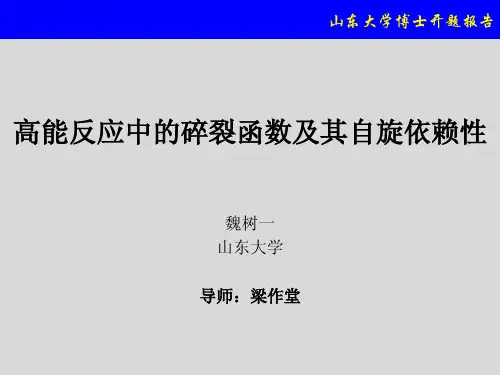 山东大学博士开题报告.pdf