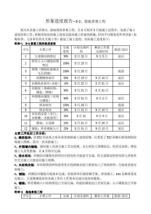 形象进度报告