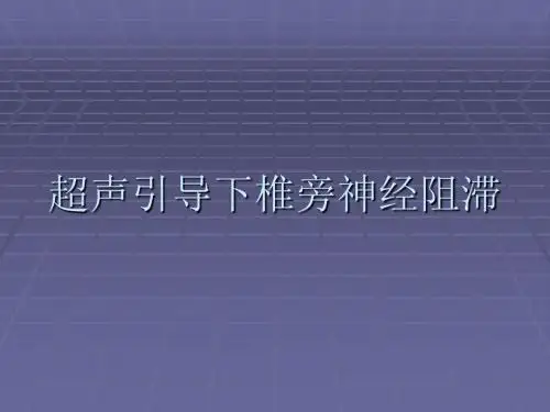 超声引导下椎旁神经阻滞腰丛阻滞PPT课件