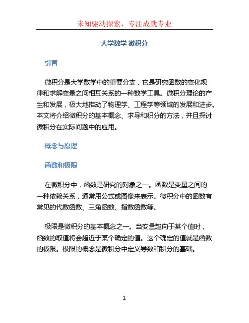 大学数学 微积分