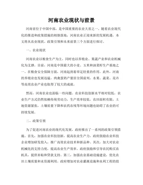 河南农业现状与前景