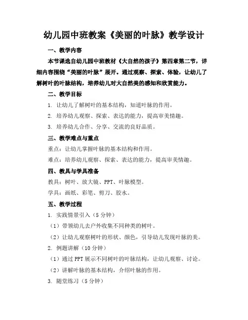 幼儿园中班教案《美丽的叶脉》教学设计