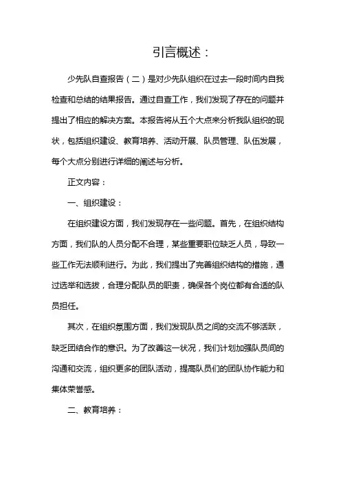 少先队自查报告