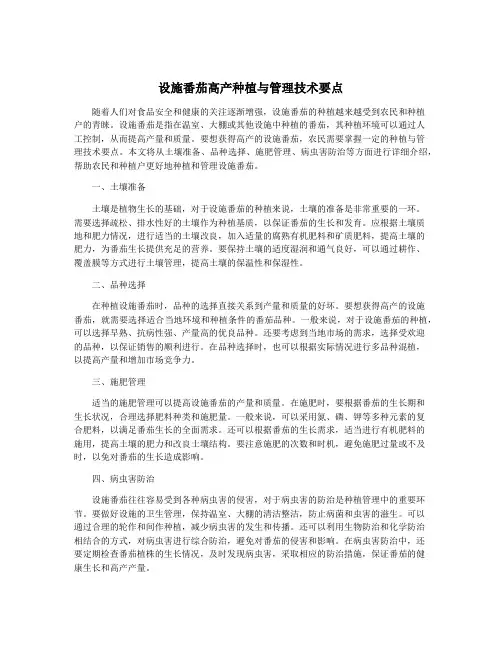 设施番茄高产种植与管理技术要点