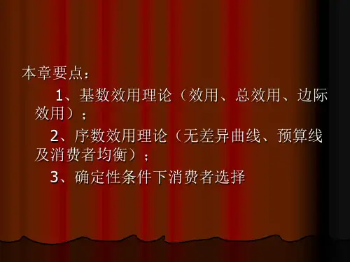 第四讲案例分析消费者行为理论
