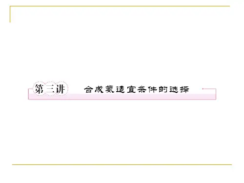 9-3合成氨适宜条件的选择