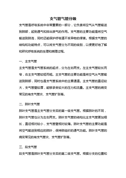 支气管气管分级