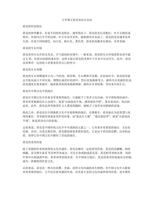 小学课文荷花知识点总结
