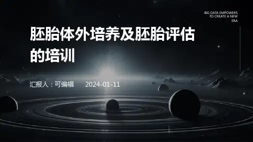 胚胎体外培养及胚胎评估的培训PPT