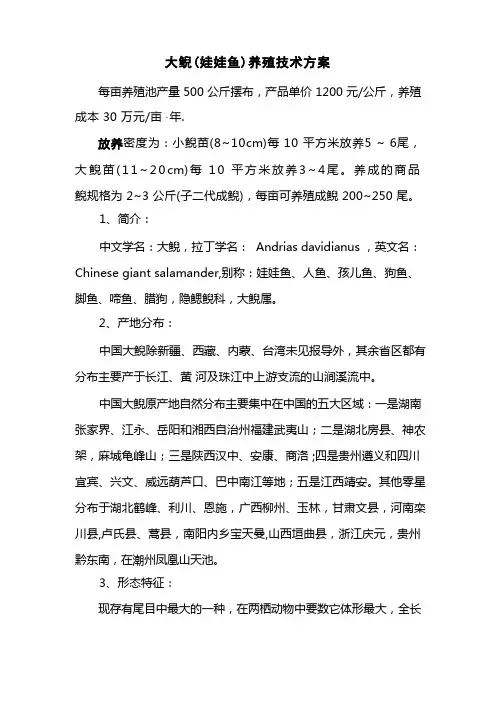 大鲵(娃娃鱼)养殖技术方案