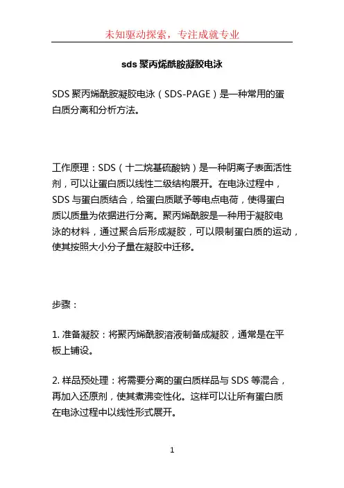 sds聚丙烯酰胺凝胶电泳