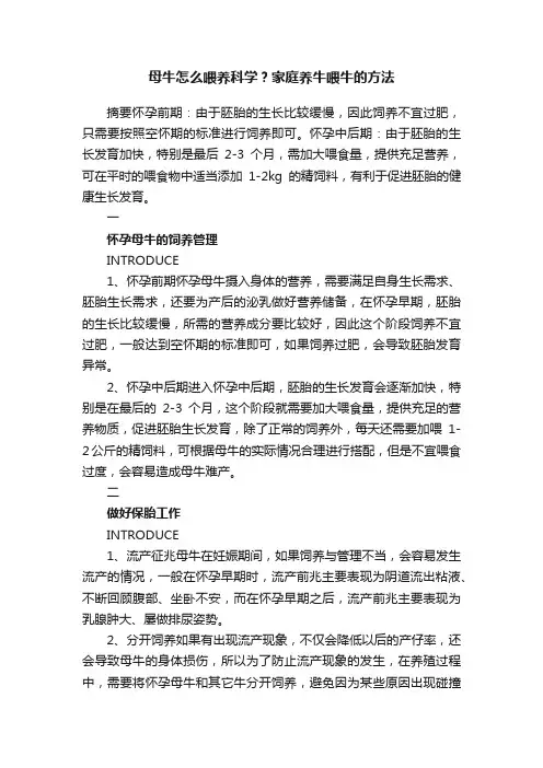 母牛怎么喂养科学？家庭养牛喂牛的方法