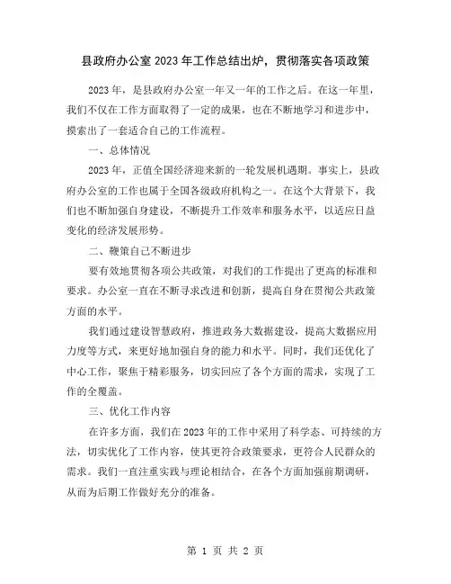 县政府办公室2023年工作总结出炉,贯彻落实各项政策